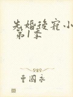 先婚后宠小娇妻 第1季