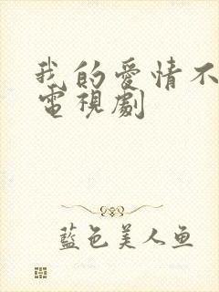 我的爱情不平凡电视剧