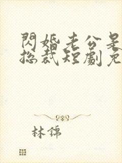 闪婚老公是亿万总裁短剧免费观看