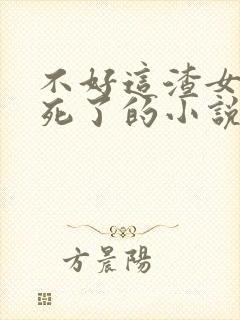 不好这渣女要虐死了的小说