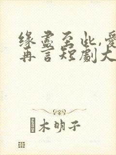 缘尽至此,爱不再言短剧大结局