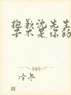 抱歉沈先生,孩子不是你的 短剧