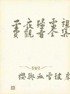 子夜归电视剧免费观看全集高清第23