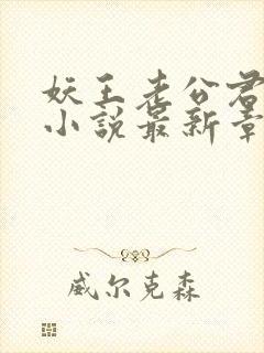 妖王老公君离渊小说最新章节更新内