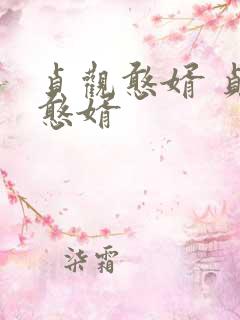 贞观憨婿 贞观憨婿