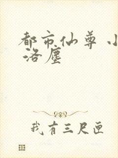 都市仙尊 小说 洛尘