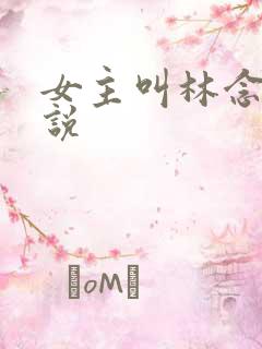 女主叫林念的小说