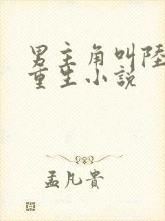 男主角叫陆天的重生小说