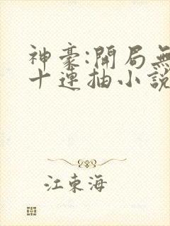 神豪:开局无限十连抽小说免费