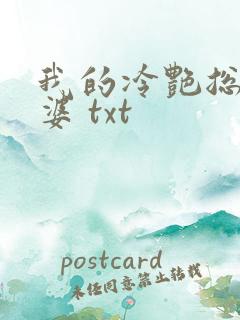 我的冷艳总裁老婆 txt
