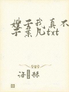 嫂子我真不是傻子叶凡txt