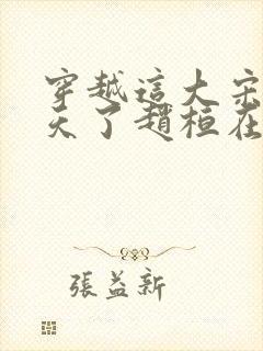 穿越这大宋该变天了赵桓在线阅读