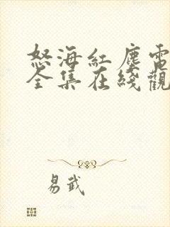 怒海红尘电视剧全集在线观看免费