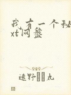 我有一个秘密txt网盘