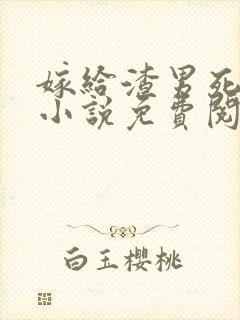 嫁给渣男死对头小说免费阅读