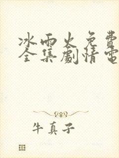 冰雨火免费观看全集剧情电视剧