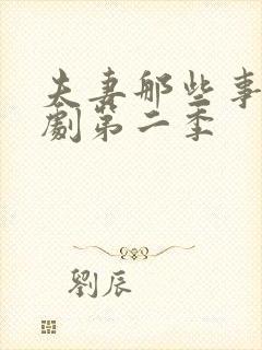 夫妻那些事电视剧第二季