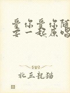 爱你爱你随时都要一起原唱