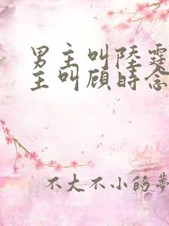 男主叫陆霆骁女主叫顾时念的小说