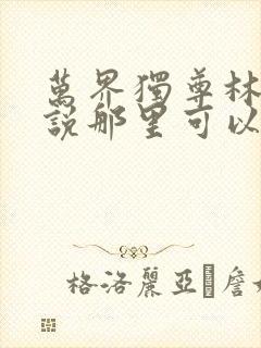 万界独尊林枫小说那里可以看