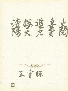 渣总追妻火葬场阳天免费阅读