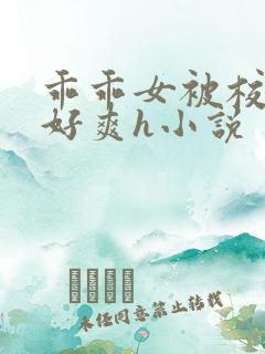 乖乖女被校霸做好爽h小说