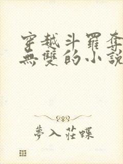 穿越斗罗夺舍火无双的小说