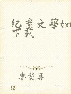 纪实文学txt下载