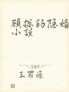 顾总的隐婚罪妻小说