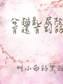 公猫乱尿除了绝育还有别的好办法吗