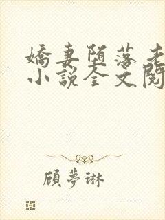 娇妻堕落老乞丐小说全文阅读