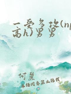 一受多攻(np高h)男男