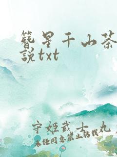 簪星千山茶客小说txt