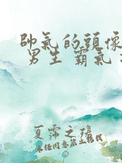 帅气的头像动漫 男生 霸气 冷酷