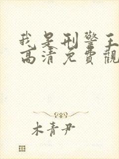 我是刑警王在线高清免费观看