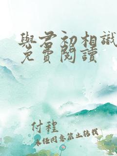 与君初相识全文免费阅读