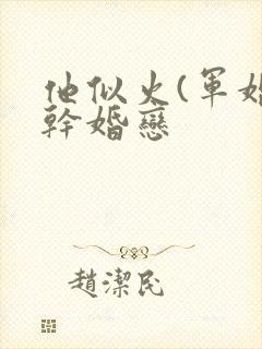 他似火(军婚高干婚恋