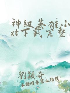 神级英雄小说txt下载完整版