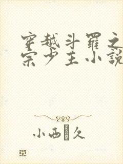 穿越斗罗之风剑宗少主小说