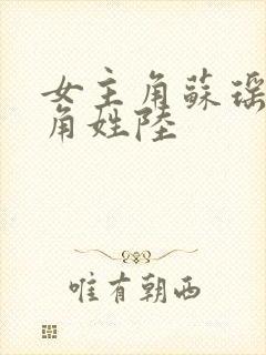 女主角苏瑶男主角姓陆