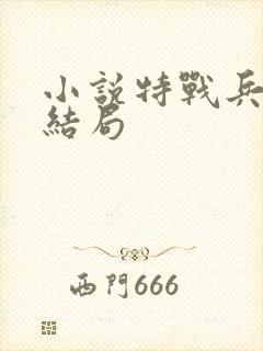 小说特战兵王大结局