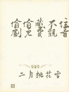 偷偷藏不住电视剧免费观看高清版