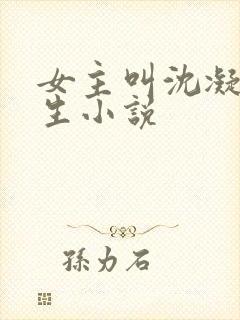 女主叫沈凝的重生小说