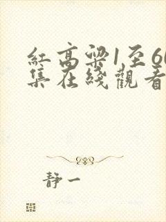 红高粱1至60集在线观看