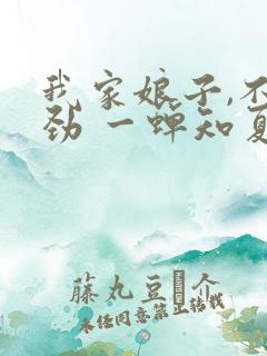 我家娘子,不对劲 一蝉知夏