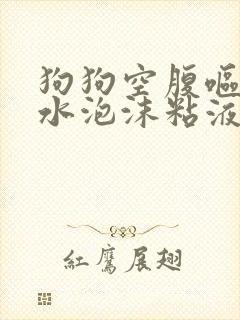 狗狗空腹呕吐黄水泡沫粘液