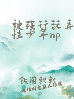 被强行玩弄的双性少年np