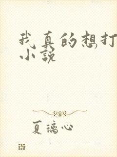 我真的想打铁 小说