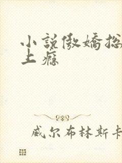 小说傲娇总裁宠上瘾