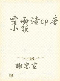 霍雨浩cp唐三小说